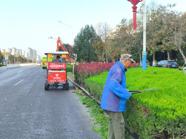 園林中心精修細剪守護城市“秋冬綠”